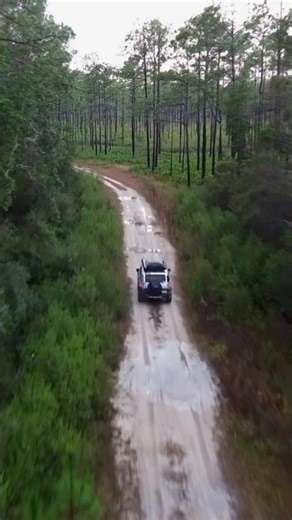 New wilderness camp cooking video out now. Go check it out!