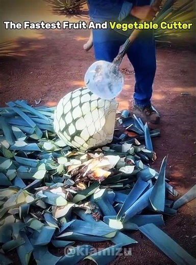 The Fastest Fruit & Veg Cutter