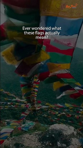 What these flags actually mean?