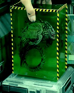 115K views · 343 reactions | Creating a Monstrous Marvel, My Xenomorph Shark Laboratory Diorama | DIY & Crafts | Facebook