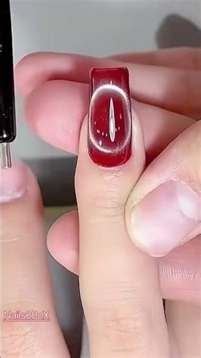 N types of magnetic cat-eye techniques are absolutely amazing