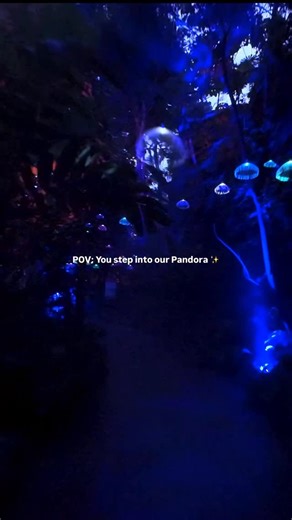 I see you ✨ An invitation to step into our own world of Pandora and experience Eden lit up for Christmas 🌌💫 Come and see it for yourself, here at Eden until the 4 January. #Avatar #AvatarFireAndAsh #ChristmasCornwall | Eden Project