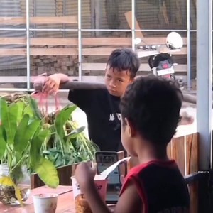 485K views · 16K reactions | While others ask their parents for food, you're out there finding your own. Never give up, buddy! | 햧 헒 헉 헇 허 헍 헂 헓 햾 | Facebook