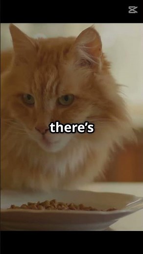 What Do Cats Love to Eat