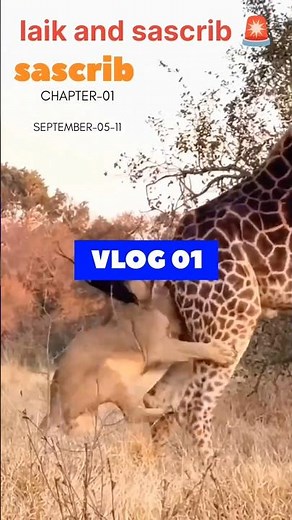 Africa jungle discovery hindi documentary tanjaniya animals discovery channel Hindi