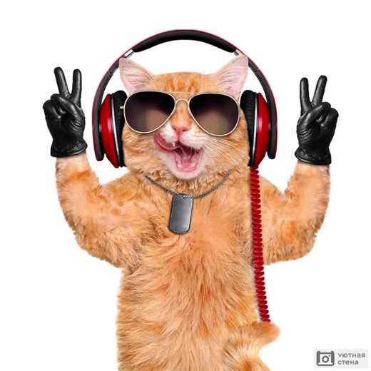 Wortel Segar untuk Si Gendut