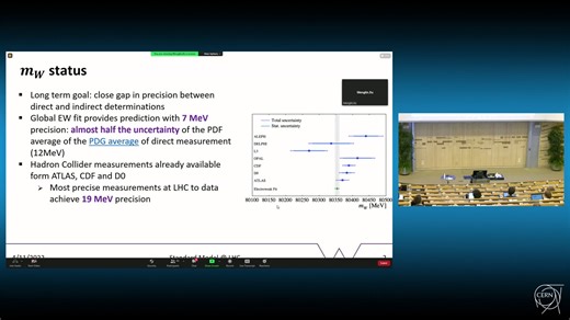 Recent results on W mass and branching fraction