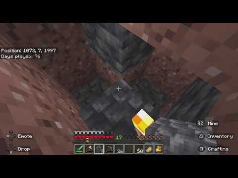 Minecraft_Lexies pov