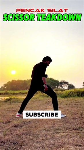 Pencak Silat Scissor Technique 💥#selfdefense #martialarts #sportst