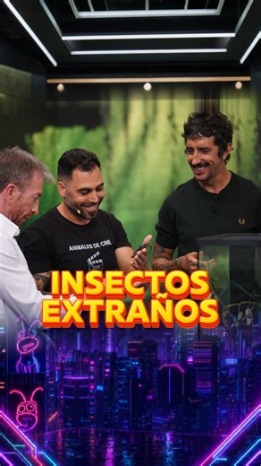 Conocemos algunos de los insectos más sorprendentes del planeta #HarlemVivasEH
