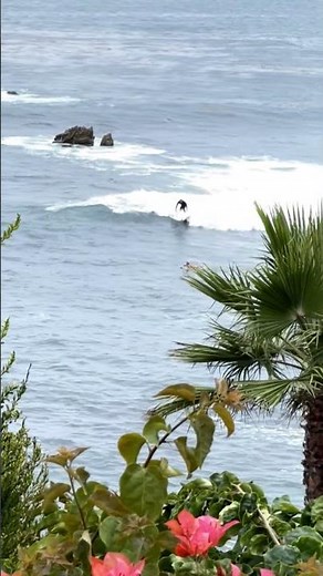 Best Time to Visit Laguna Beach 🌴 (Avoid the Crowds!)