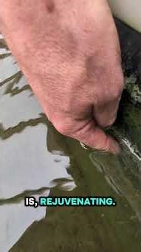🚨 ALGAE BLOOM ALERT! New Brush Time in the Koi Pond 🌿🐟
