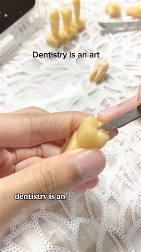 The hidden side of Dental School 🦷📖 #dentist #dentalcare #usashorts #oralhealth #viral #trending