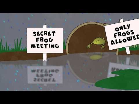 Raining Cats and Dogs - Music With Sarah Gardner