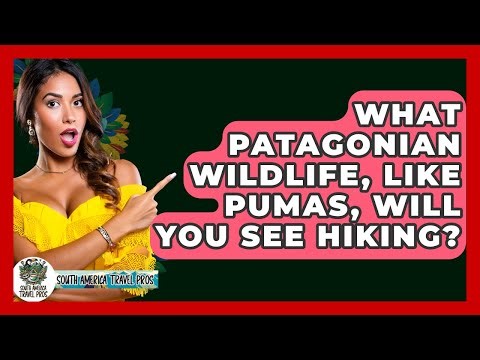 What Patagonian Wildlife, Like Pumas, Will You See Hiking? - South America Travel Pros