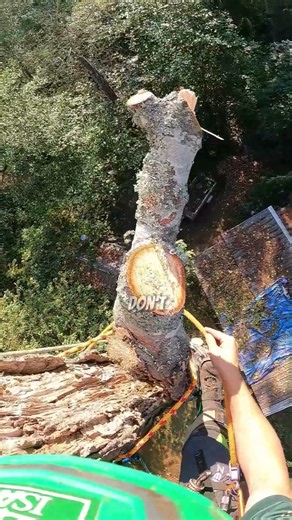 Removing A Split Tree Leaning Over A House