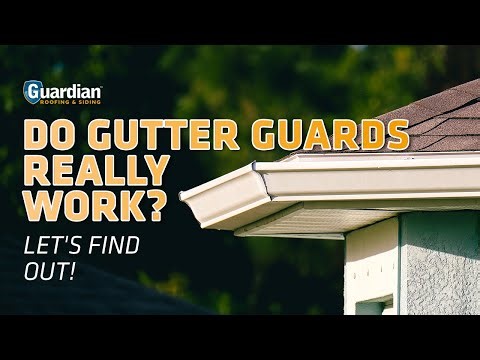 Do Gutter Guards Really Work? 🍂