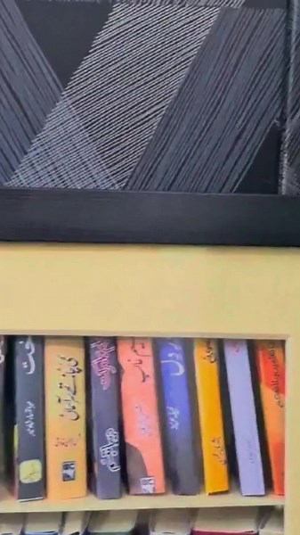 Mini Bookshelf Adorned with Urdu Novels | Order and Details