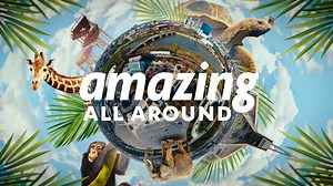 Summer is almost here. Come and enjoy the wonder of wildlife at the Zoo, because it’s amazing all around. #IndyZoo #summerfun #indianapolis #babyanimals #chimpanzees | Indianapolis Zoo