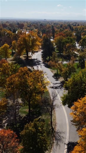 Denver Videographer 🎥, Photographer 📸, Drone Pilot🚁 on Instagram: "fall colors in wash park 🍂 📍Denver, CO Drone Videography Aerial Photography"