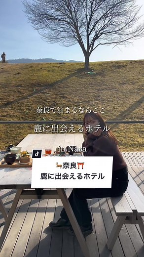 鹿と出会えるテラスで最高の朝食＆コスパとロケーション抜群で文句なしのホテル🦌奈良旅行したい全員におすすめの宿。#奈良旅行#奈良ホテル#奈良デート#tiktokホテル
