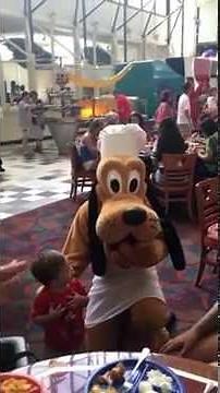 Meeting Pluto at Chef Mickey's at Walt Disney World