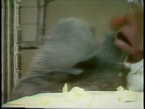 Sesame Street Pitch Reel: Beautiful Day Monster Scene (1968)