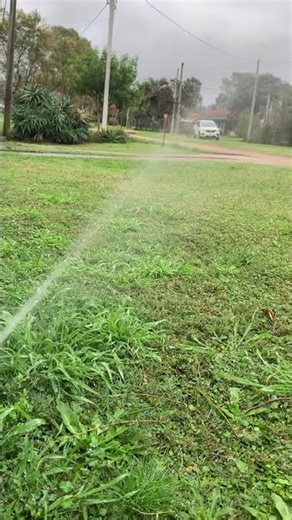 Riego con aspersores Hunter #riego #bombasumergible #jardinería #aspersor