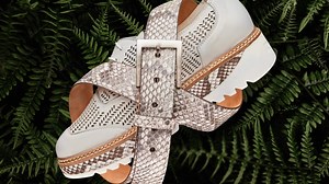 44K views · 458 reactions | Footage From Florida_s Anti-Python Project Exposes an Aftermath NOBODY Expected | The Brilliant | Facebook