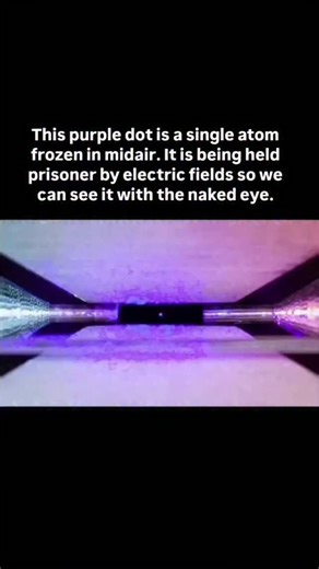 The Quantum Brief on Instagram: "Captured by physicist David Nadlinger, this award-winning photo shows a single Strontium atom trapped between two electrodes. The atom is blasted with lasers, causing it to absorb and re-emit light so intensely that it becomes visible without a microscope. It brings the abstract world of quantum physics into human scale, suspending a fundamental building block of the universe in a vacuum."