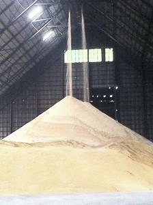Sugar industry of the Philippines - Alchetron, the free social encyclopedia