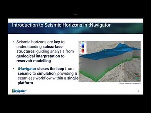 Webinar: Smarter Subsurface Analysis - Interpreting Seismic Inside tNavigator (17.03.2025)