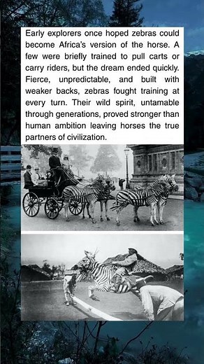 Why Zebras Never Became the Horses of Africa