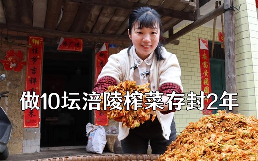 用30天做了10坛涪陵本地人爱吃得榨菜，但是要2年后才能吃到
