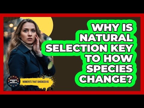 Why Is Natural Selection Key To How Species Change?