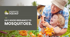 #1 Cape Cod Mosquito Control | Mosquito Squad of Cape Cod