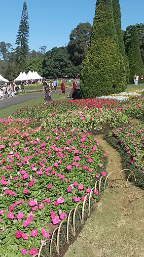 WISE Computer သည် TikTok ပေါ်တွင် ရှိသည်