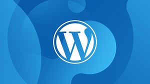 How Gutenberg Will Impact WordPress Users