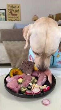 Let s see what ordinary people eat when they have a dog #Everything Is Lovely Plan#Daily D