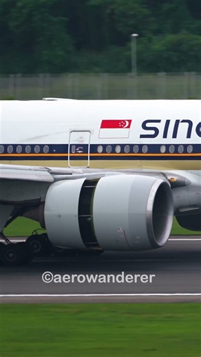 SINGAPORE AIRLINES B777-300ER landing at Singapore Changi Airport #shorts #plane #b777 #singapore