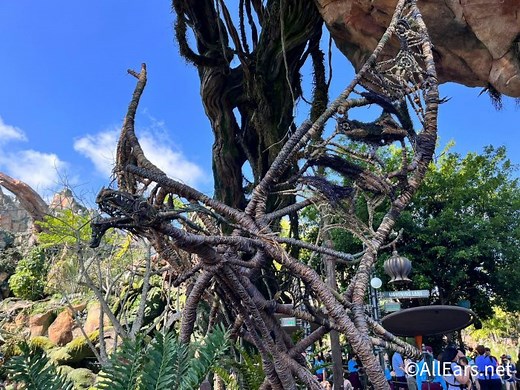 FULL Park-by-Park Breakdown of Disney World's Average Wait Times - AllEars.Net