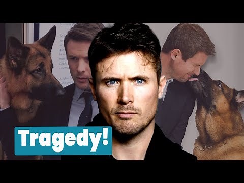 What happened to John Reardon on Hudson & Rex?