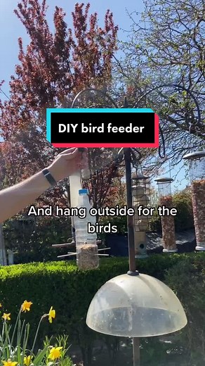DIY Bird Feeder: Transforming Old Bottles for Wildlife