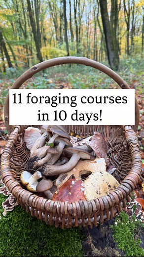 1.2K views · 39 reactions | Yesterday marked the end of 10...