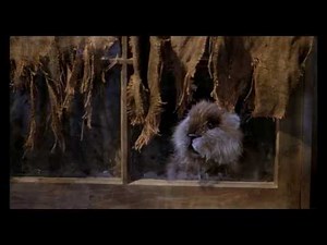 Bill Murray as Carl in Caddyshack think like a animal