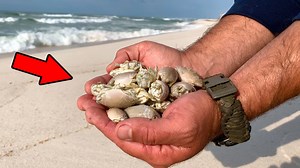 Giant sand flea catch and cook! Surprising results. | AnglerUp with Brant