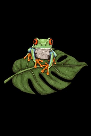 A tiny moment of rainforest calm 🐸🌿 A vintage-style red-eyed tree frog resting on a broad green leaf. #RedEyedTreeFrog #WildlifeDesign #NatureArt #FrogLovers