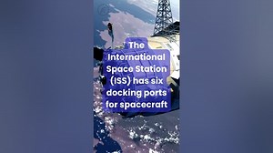 Fun Facts About Number 6 That Will Amaze You facts funfacts number6 viralshort youtubeshorts