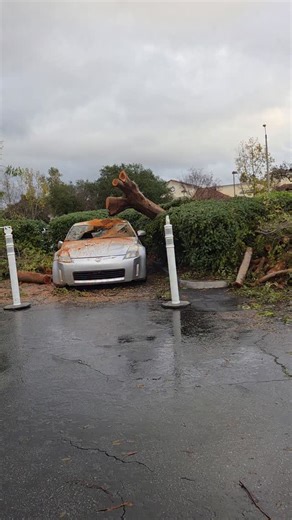 Storm related damage in the Jamba Juice / Men's Warehouse parking lot on Moorpark Road in Thousand Oaks. #conejovalley #thousandoaks #aroundtown | Conejo Valley Guide