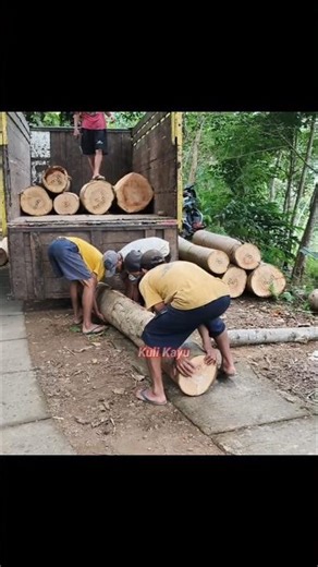 tips and tricks for loading large logs manually #loadwood